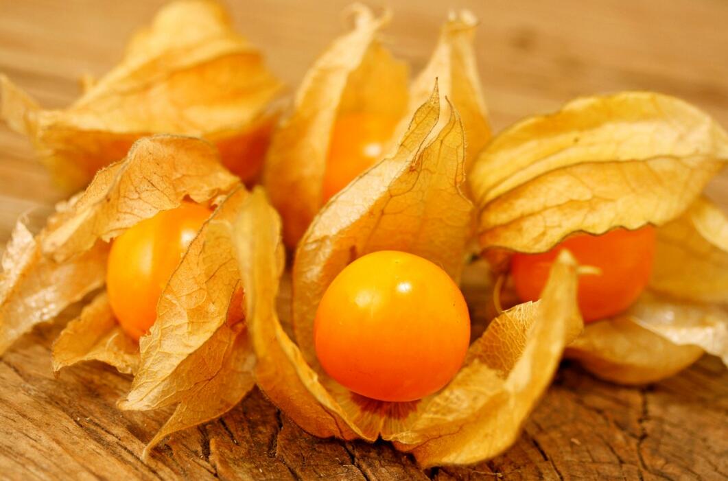 農(nóng)業(yè)自動(dòng)氣象站助力菇娘規(guī)?；N植